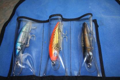The Reidys Reidy's Lures Little Lucifer Hellraiser - Know where to use this  lure - Fishing Spots